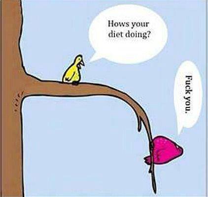 dieting is NOT fun